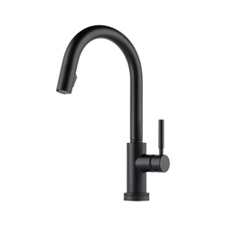 Brizo® 64020LF-BL