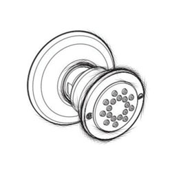 Moen® A501AZ