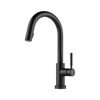 Brizo® 64020LF-BL PHCP_315997